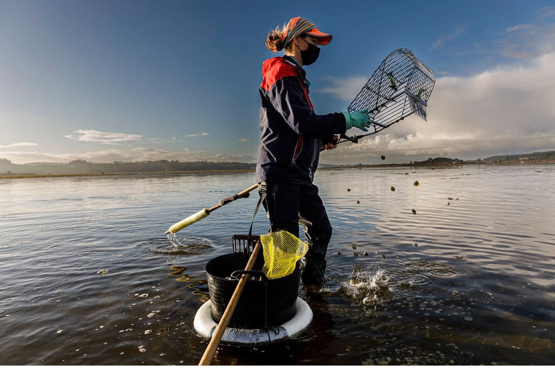 La Tienda de las Conservas