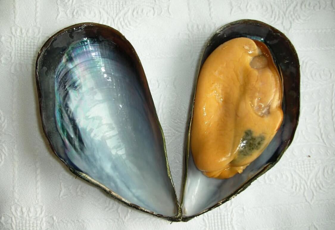 La Tienda de las Conservas