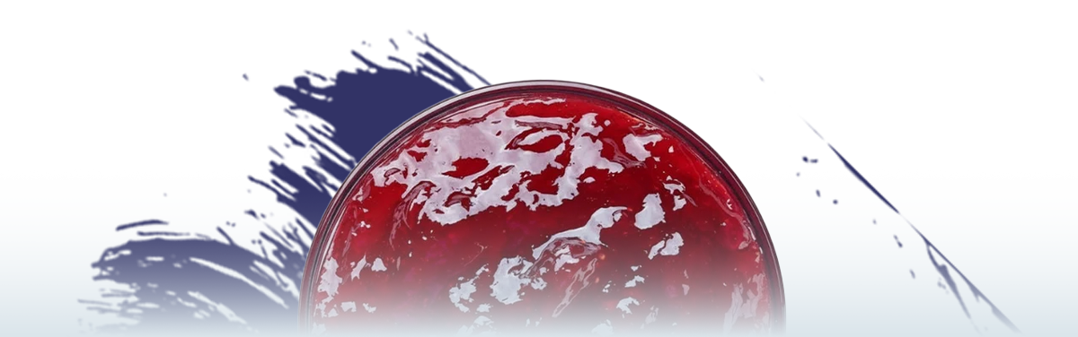 La Tienda de las Conservas