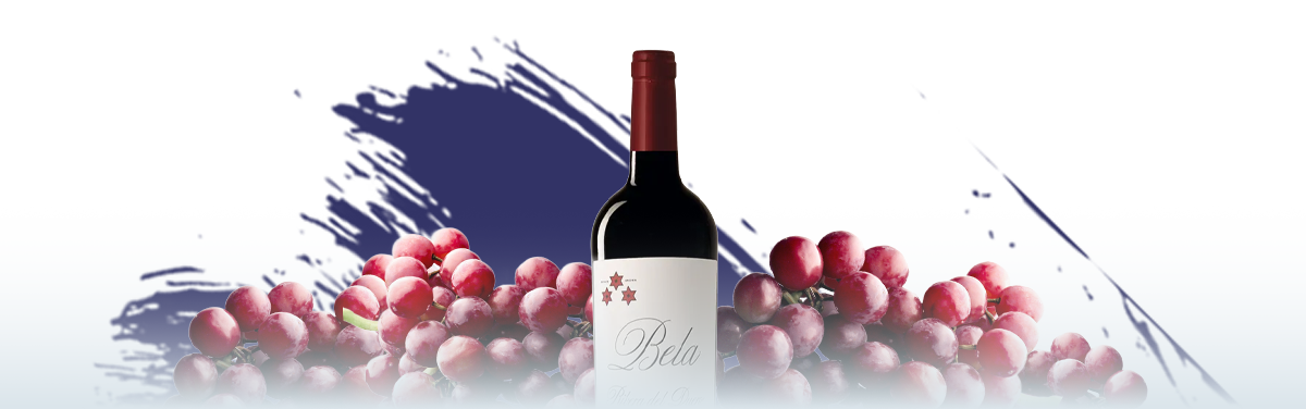 La Tienda de las Conservas