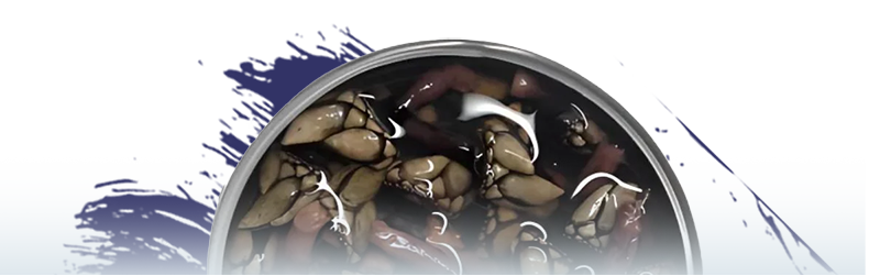 La Tienda de las Conservas