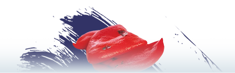 La Tienda de las Conservas