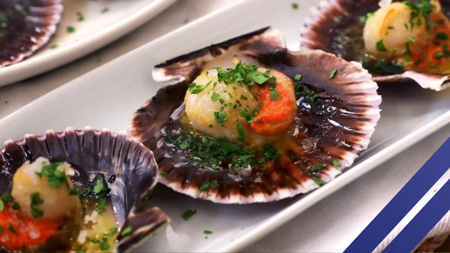 Taco de zamburiñas, cebolla y cilantro - La Tienda de las Conservas
