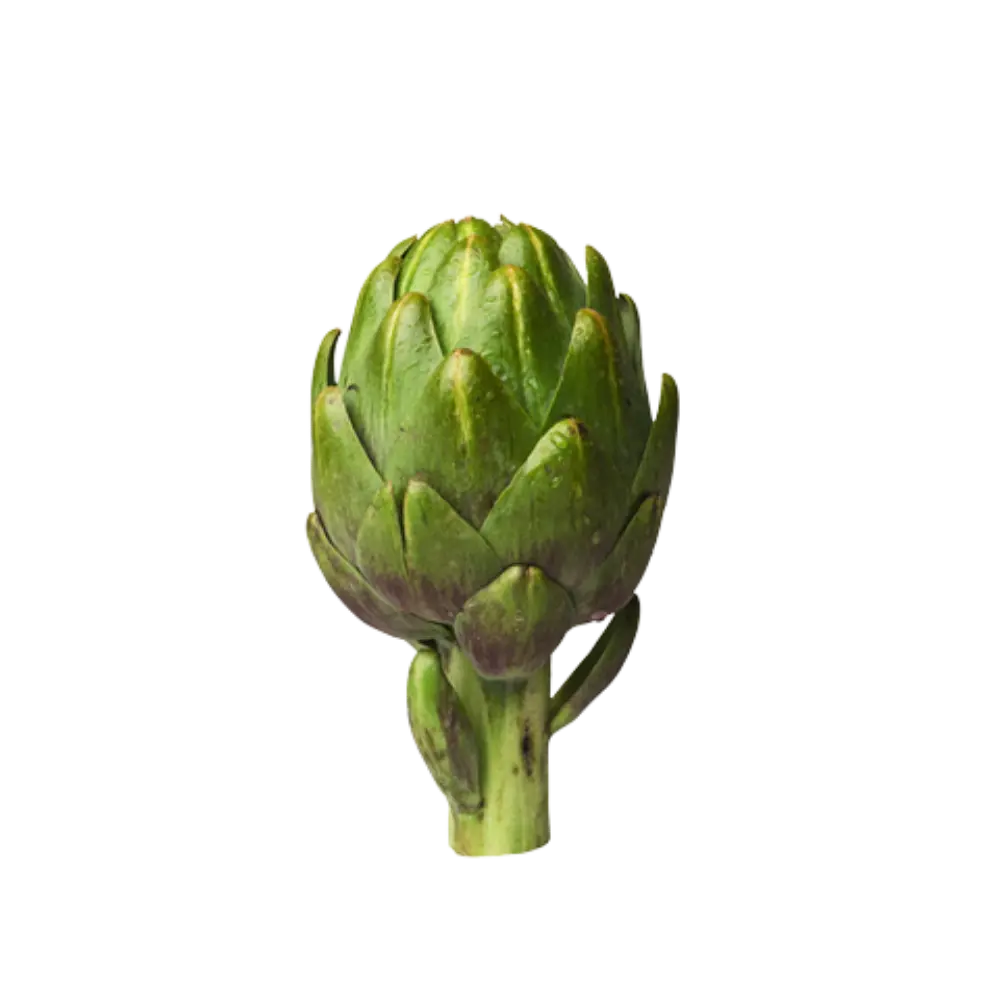 Alcachofas La Tienda de las Conservas