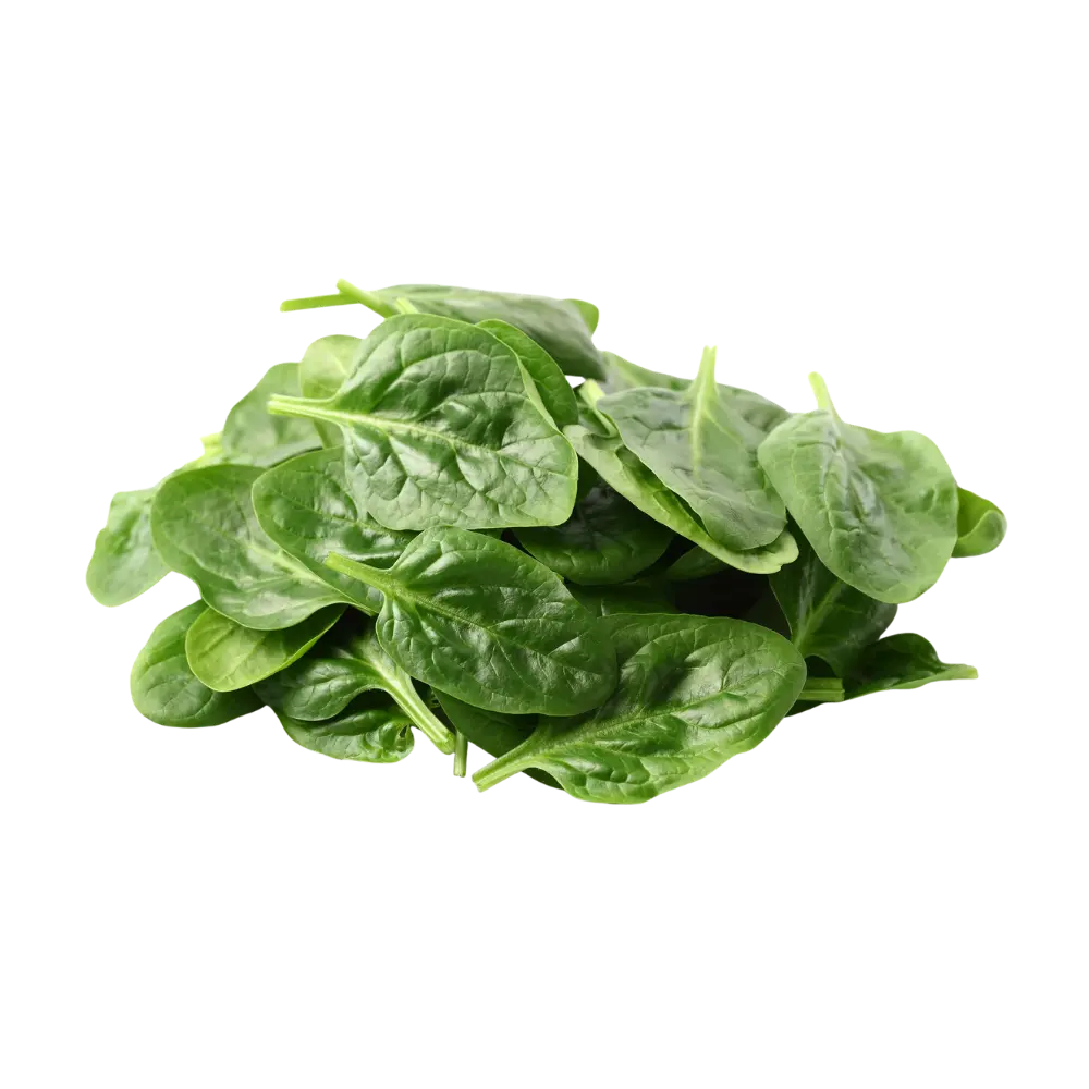 Verduras La Tienda de las Conservas