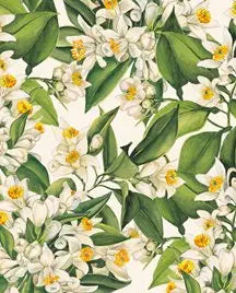 Gift Wrap