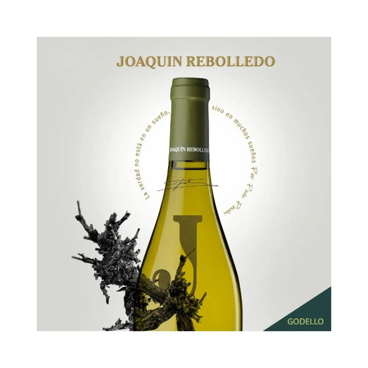 Godello | Joaquín Rebolledo La Tienda de las Conservas