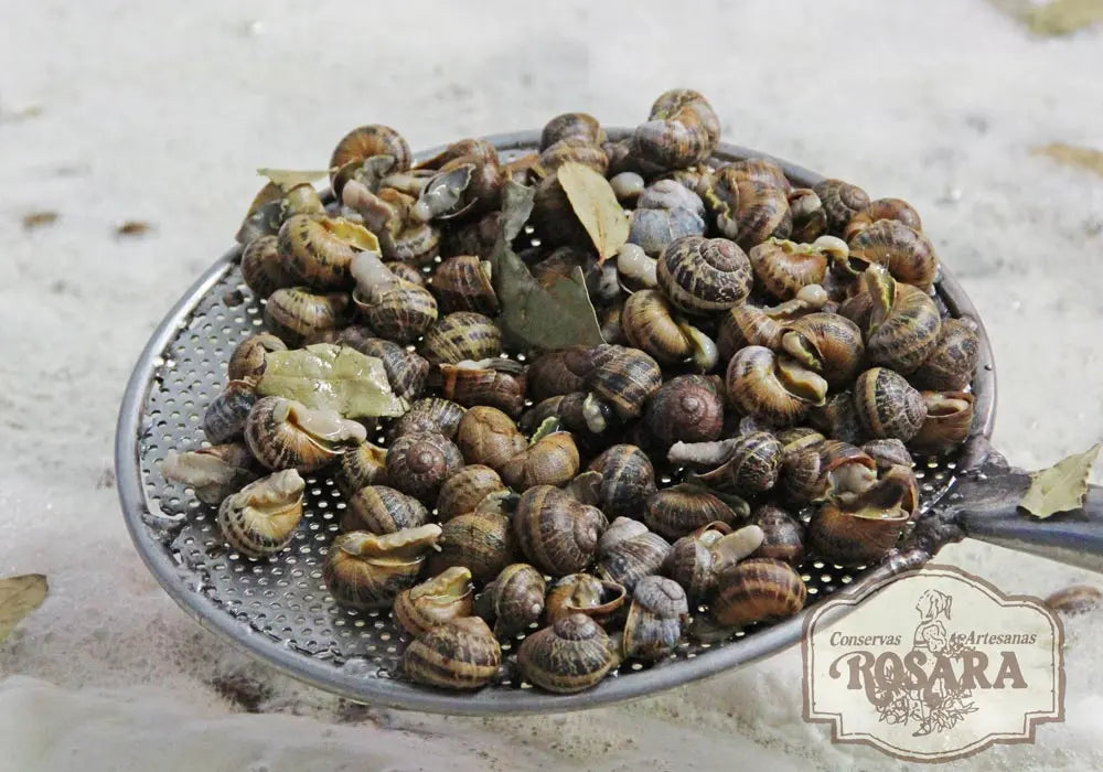CARACOLES GUISADOS LATA 425 ml. | Conservas ROSARA Conservas Rosara