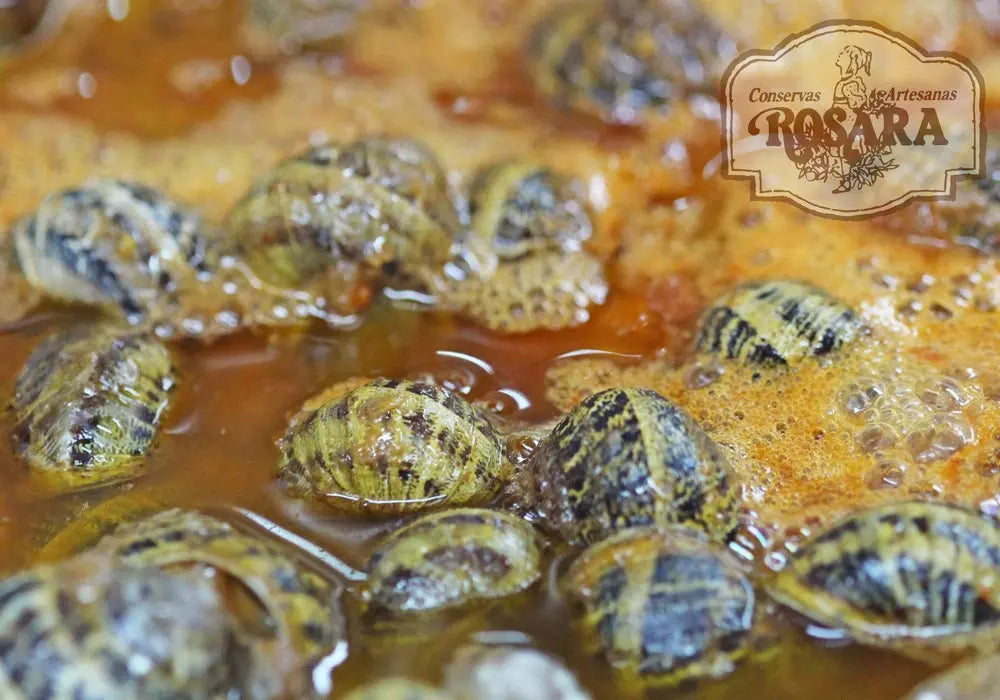 CARACOLES GUISADOS LATA 425 ml. | Conservas ROSARA Conservas Rosara