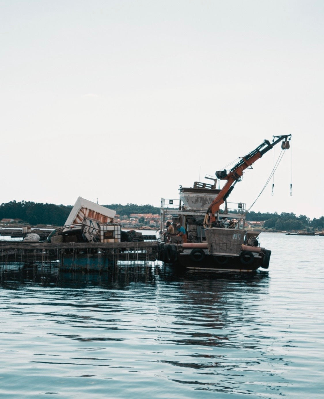 La Tienda de las Conservas