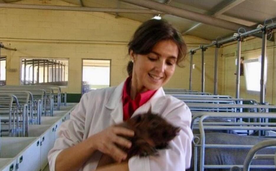 La Tienda de las Conservas