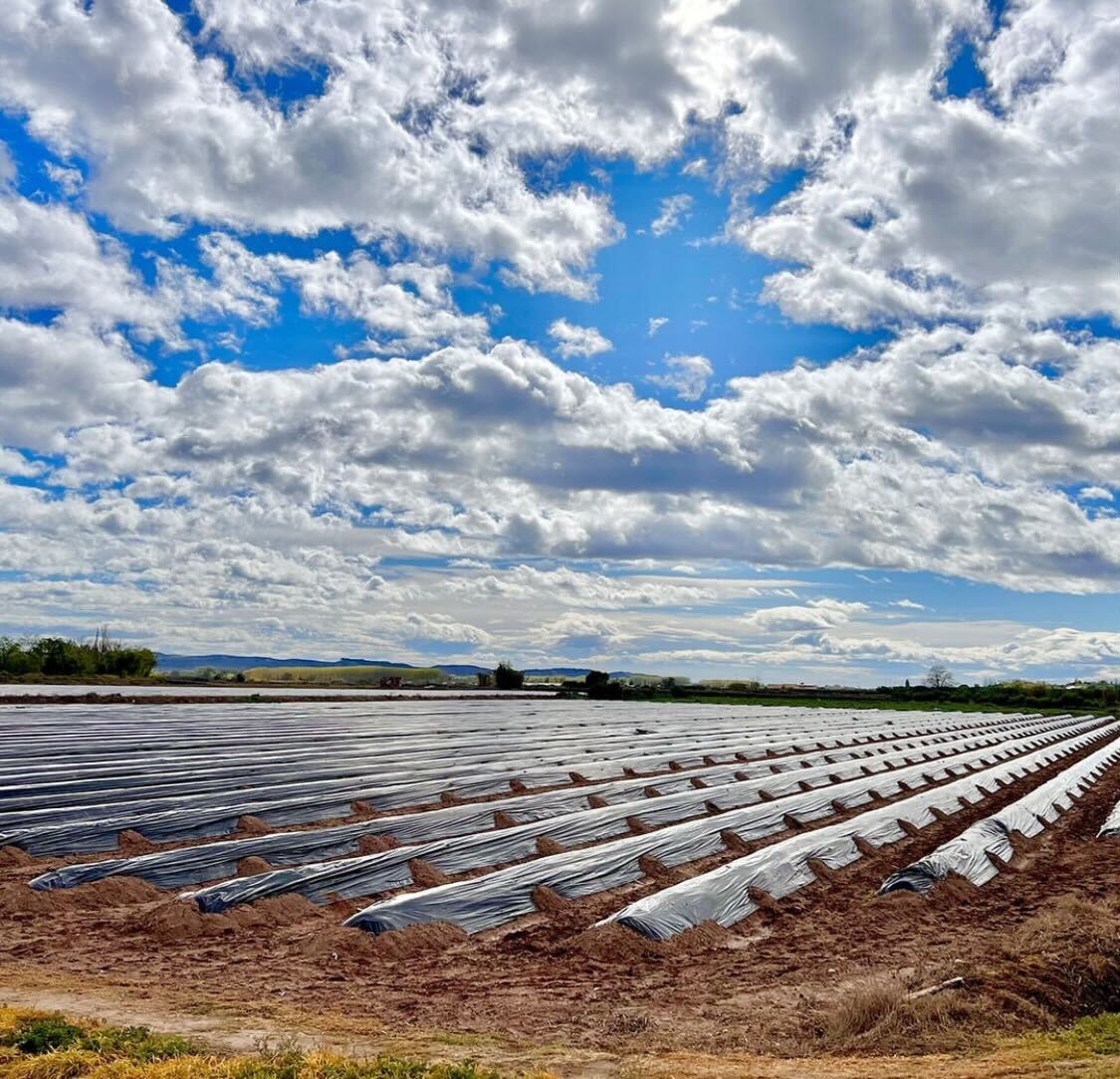 La Tienda de las Conservas