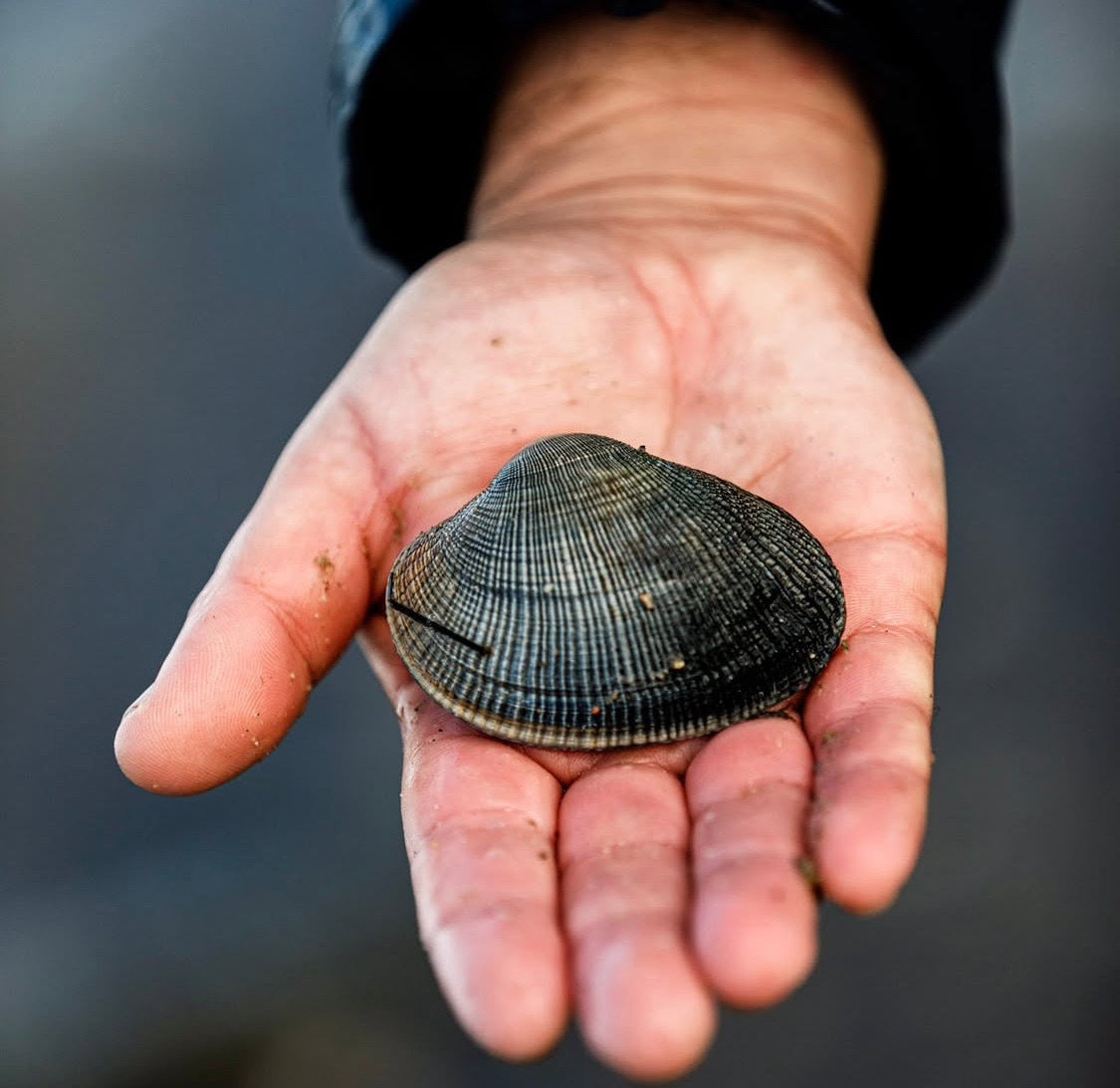 La Tienda de las Conservas