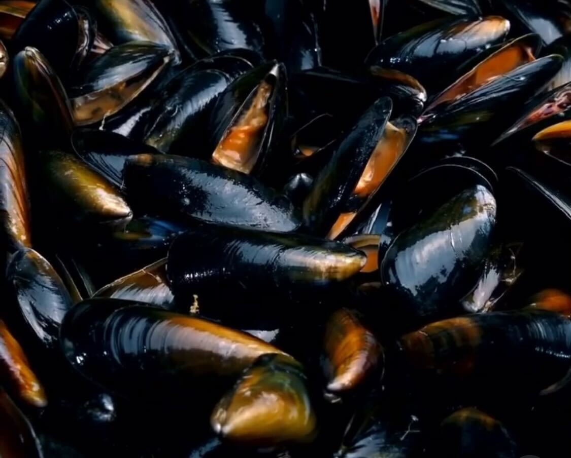 La Tienda de las Conservas