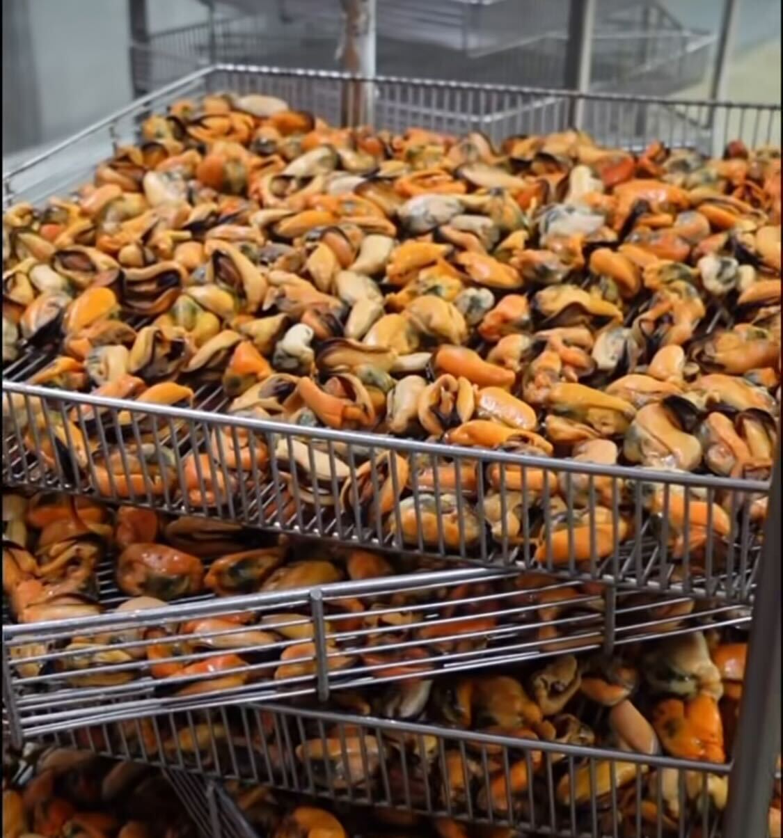 La Tienda de las Conservas