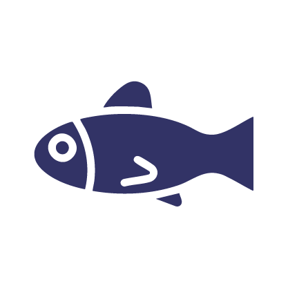 Bonito