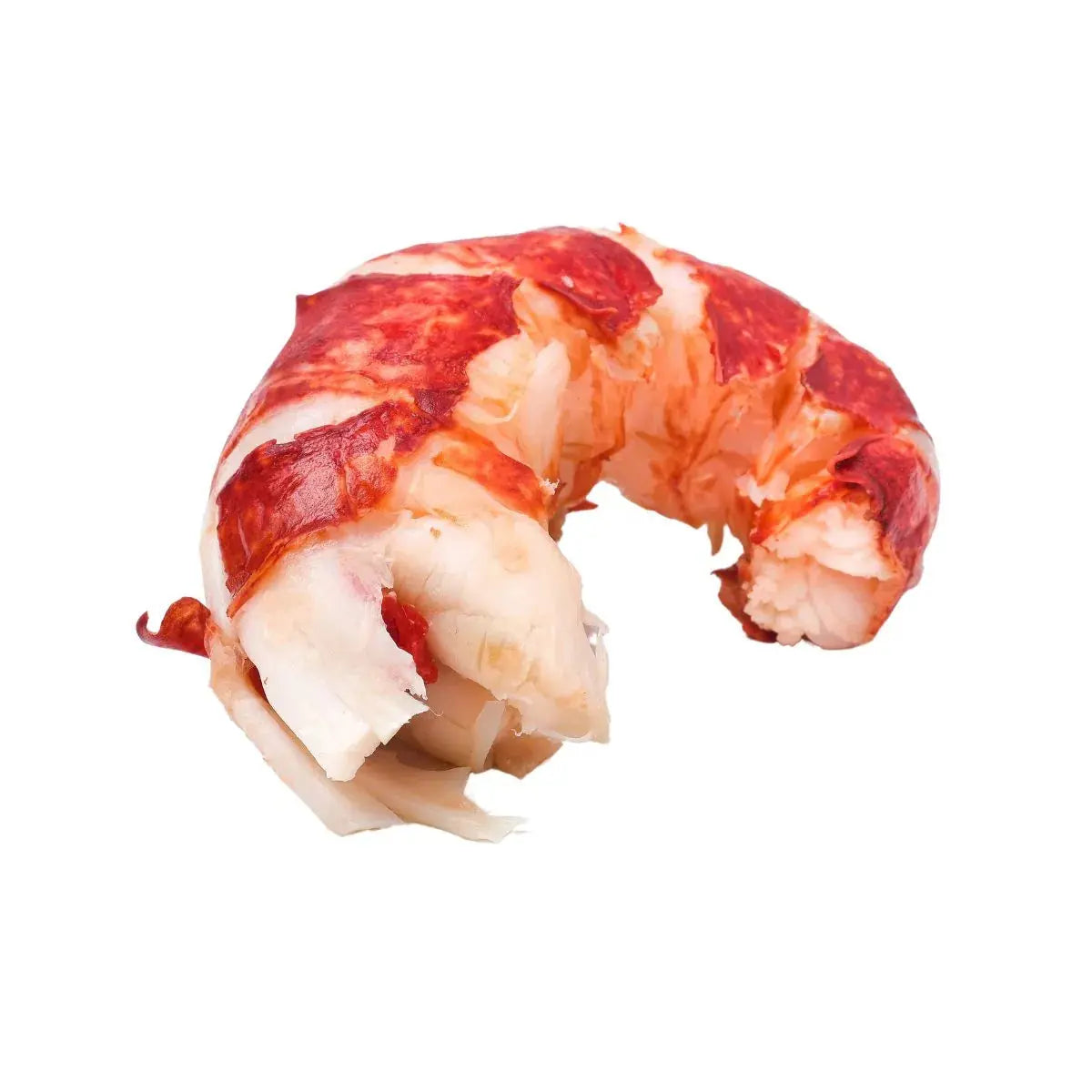 Cola de Bogavante Azul La Mar de Tazones