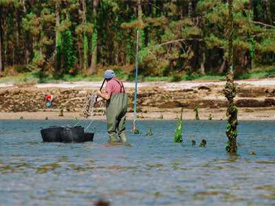La Tienda de las Conservas