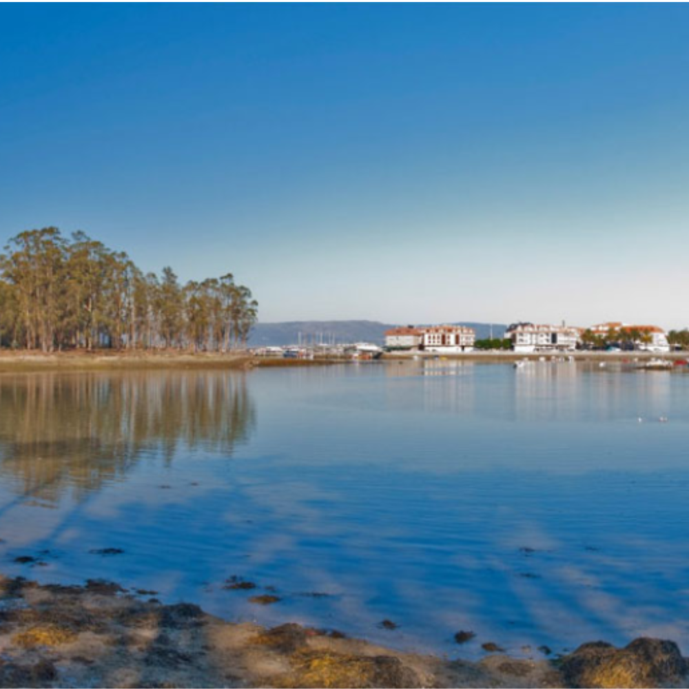 La Tienda de las Conservas