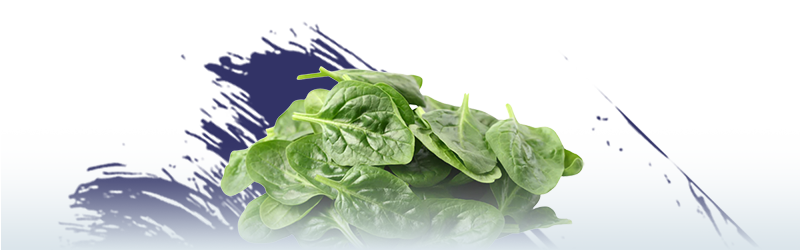 La Tienda de las Conservas